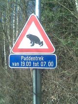 Zdjęcie użytkownika acia3