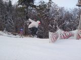 Fotos Ptak86