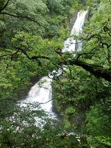 Photos sportster1200