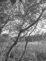 Fotos Deathcrush1996