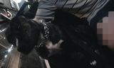 Fotos Nikoleczka99