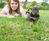 Fotos izabelka95d
