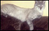 Fotos belfi1
