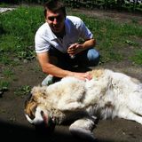 Фотография пользователя Dizzypp