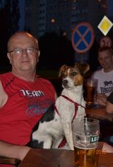 Foto utilizatorului wiesiowski