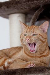 Benutzerfoto wxoxbezbanana