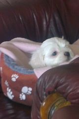 Zdjęcie użytkownika sohpia