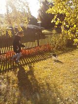 Zdjęcie użytkownika patimis