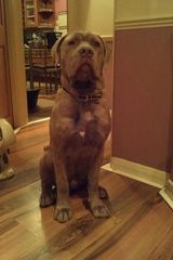 Zdjęcie użytkownika ImBossBitch