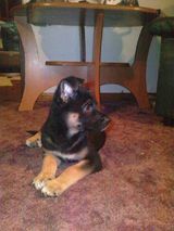 Benutzerfoto mordeczka891