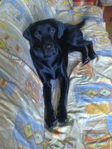 Benutzerfoto pawelmlynarski71