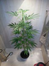 Фотография пользователя damek143