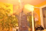 Fotos ledek5