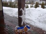 Фотография пользователя StrangePic