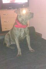 Zdjęcie użytkownika EvilAngel1902