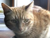 Фотография пользователя Lampik2