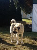 Фото користувача ibos