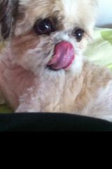 Foto pengguna supernett