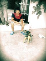 Фото користувача julianescobar