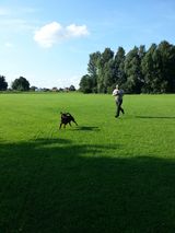 Foto utilizatorului TwojaKociee