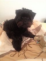 Foto pengguna amb007