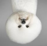 Zdjęcie użytkownika pdmasterton