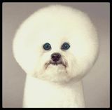 Fotka uživatele paul46