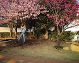 Benutzerfoto DonatanOrg