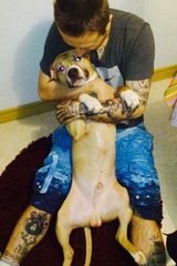 Zdjęcie użytkownika Adrianyo