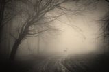 Foto pengguna mateuszowsinski9