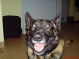 Fotos pysiapysio1