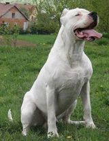 Foto utilizatorului CzapaC