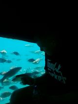 Benutzerfoto Panda187