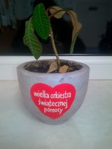 Zdjęcie użytkownika domel0905