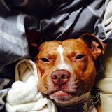 Zdjęcie użytkownika DanielMacczak