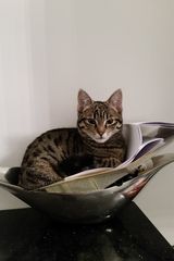 Фото користувача Devil0007