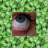 Benutzerfoto wrestlerkaa