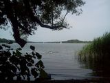 Fotos Maxx47