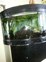 Benutzerfoto plustron