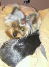 Фотография пользователя PaulinaBlondi