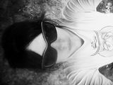 Buntowniczka01 Фотография пользователя Buntowniczka01