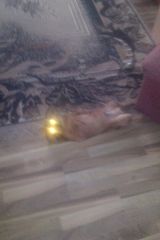 Фото користувача czarny1993