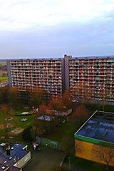 Zdjęcie użytkownika Joint43