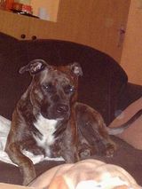 Foto pengguna kratos1488