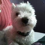 Foto pengguna CzyWydraWygra