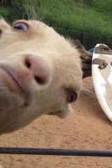 Fotka uživatele GhostPaul