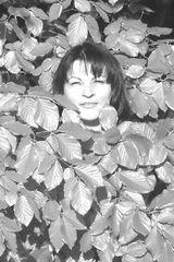 Benutzerfoto chryzokola