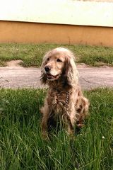 Fotos piter222222