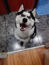 Benutzerfoto JakubWilczek