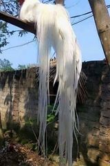 Zdjęcie użytkownika LassiK